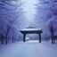 北欧犯罪剧封面,雪景与孤独人影
